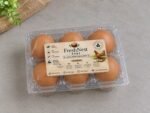 Lohman Brown Eggs - Image 3